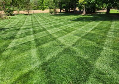 Well-manicured residential lawn with crisscrossed striping patterns, bright green grass foreground leading toward mature shade trees and a blue sky with scattered clouds