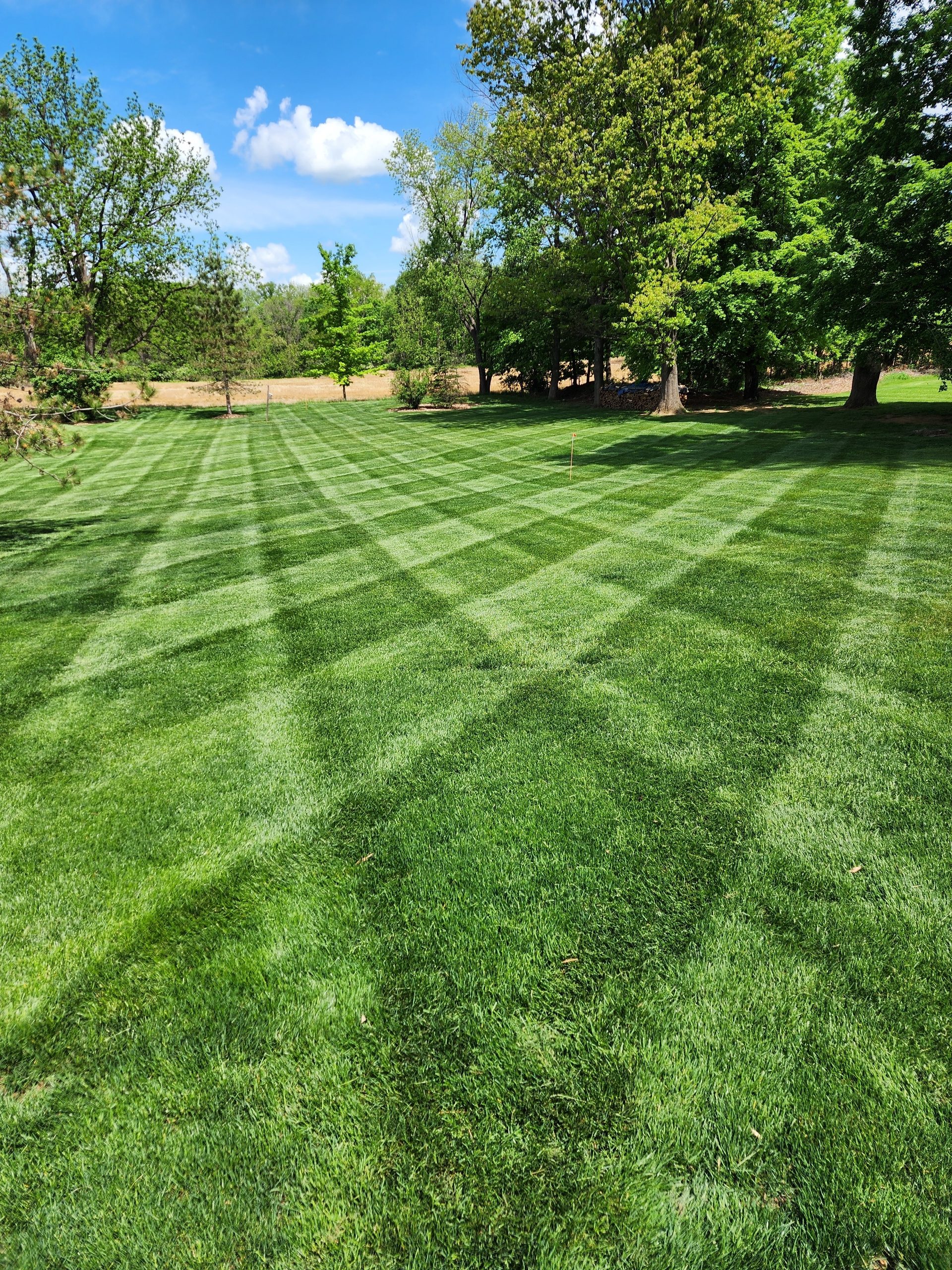 Well-manicured residential lawn with crisscrossed striping patterns, bright green grass foreground leading toward mature shade trees and a blue sky with scattered clouds