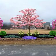 Landscape Design & Installation