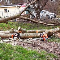Tree Trimming & Removal
