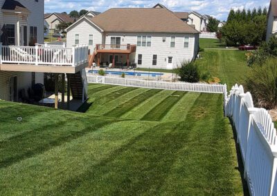 Well Landscaped Yard