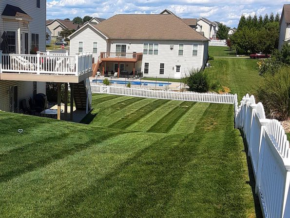 fd4885_e9481887b50f40cf9e0d7a45e116f67f~mv2 (1) Well Landscaped Yard