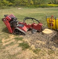 Stump Removal